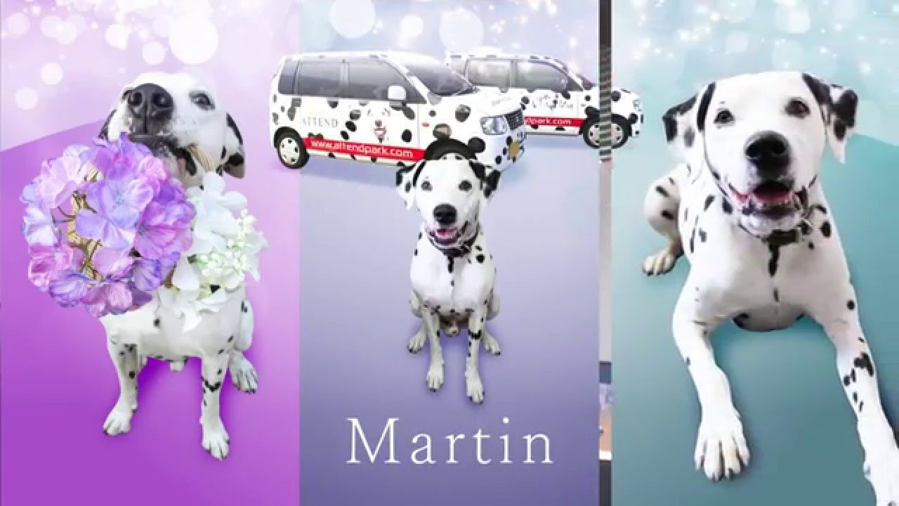 株式会社アークH.D｜アークホールディングス レポート画像