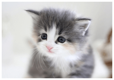 株式会社アークH.D｜アークホールディングス レポート画像