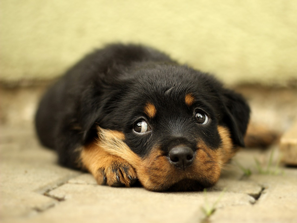 株式会社アークH.D｜アークホールディングス レポート画像